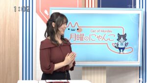 tvk岡村アナのお楽しみお乳w w w