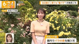 今井春花　ピッタリ衣装で巨乳がクッキリ！【GIF】